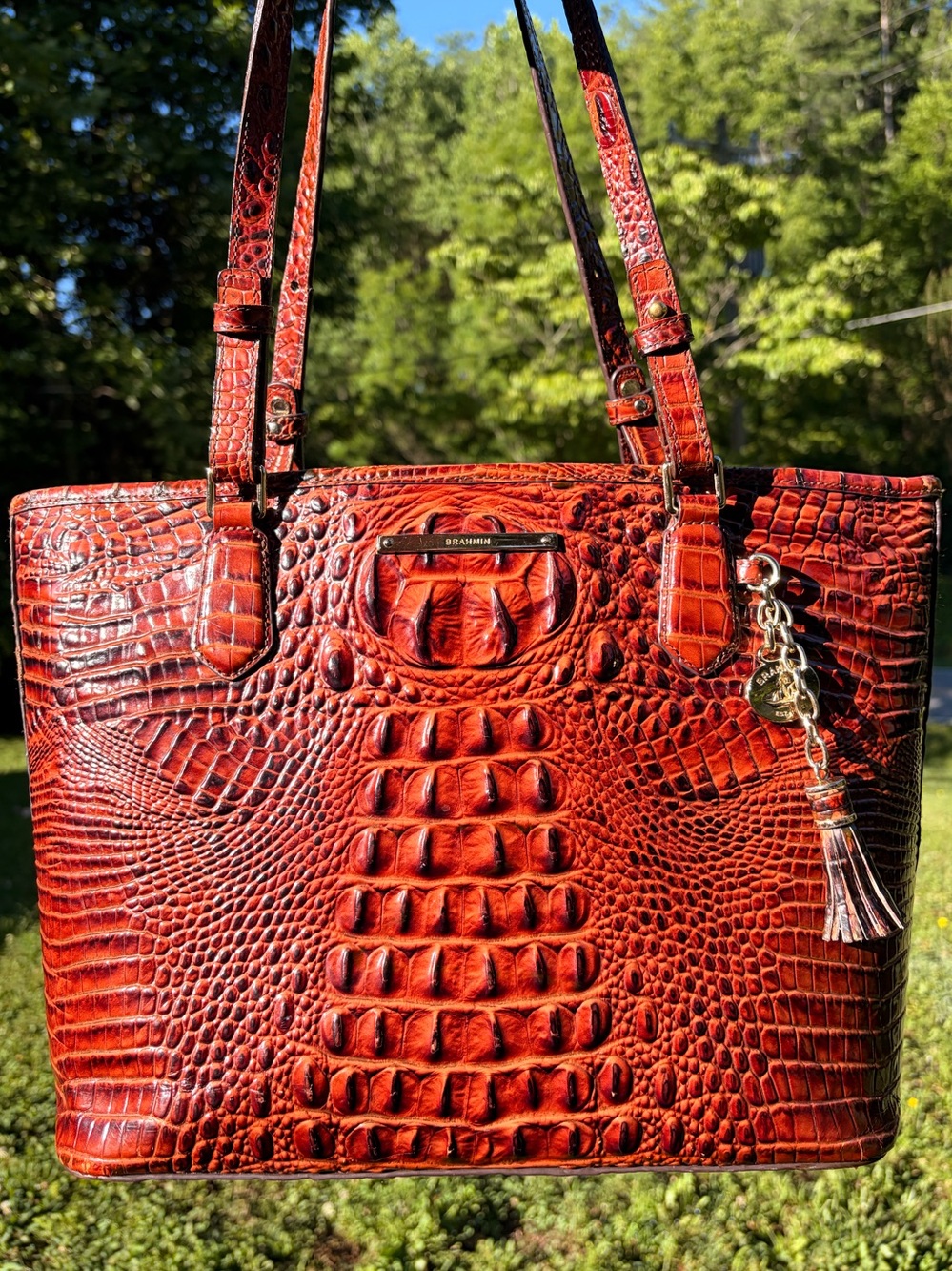 Brahmin Pecan Asher 
Croc-Embossed Leather Tote Bag